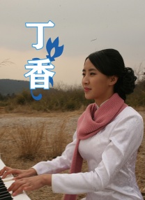 国产亚洲欧美日韩在线观看一区二区